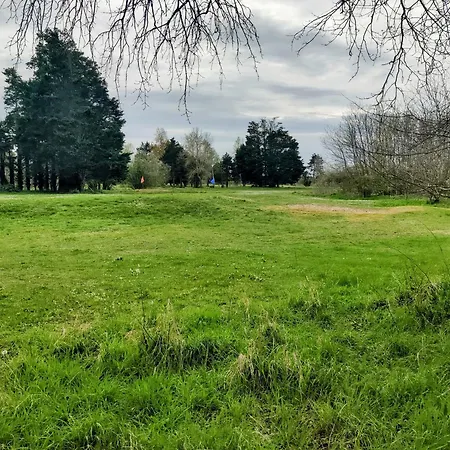 Lägenhet La Playa Grand Avec Espace Nuit Et Parking Privatif - 40 Metres De La Promenade Marcel Proust *
